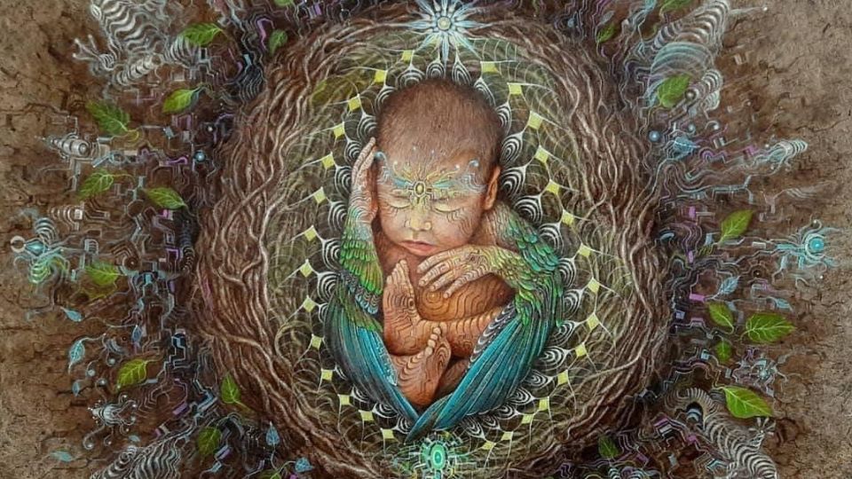 FOETAL2-24